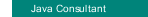 Java Consultant