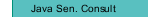 Java Sen. Consult