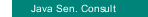 Java Sen. Consult