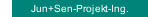 Jun+Sen-Projekt-Ing.