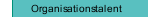 Organisationstalent