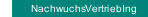 NachwuchsVertriebIng