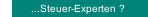 ...Steuer-Experten ?